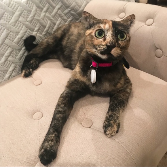 Meet your Posher, Patricia - Picture 8 of 8